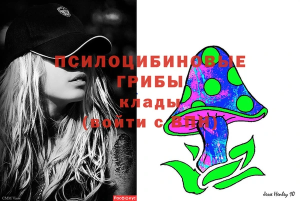 не бодяженный Арсеньев